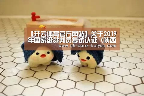 【开云体育官方网站】关于2019年国家级裁判员复试认证(陕西西安站)有关事宜的通知(图1) 开云体育官方网站