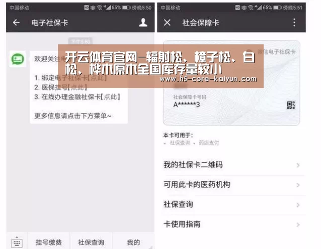 开云体育官网-辐射松、樟子松、白松、桦木原木全国库存量较小(图3) 开云体育官方网站
