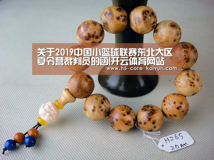 关于2019中国小篮球联赛东北大区夏令营裁判员的函|开云体育网站(图1) 开元体育