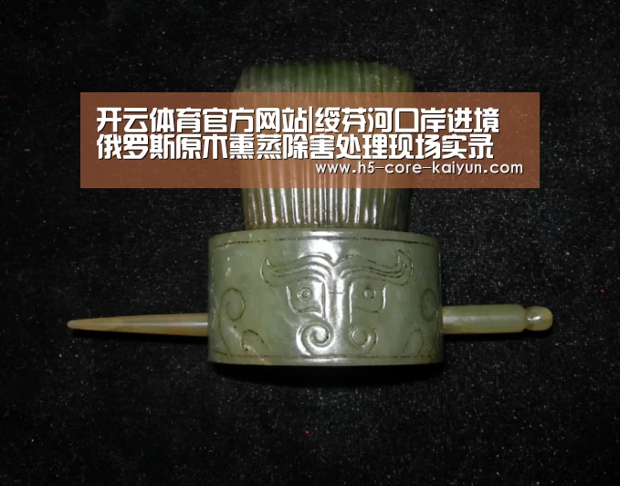 开云体育官方网站|绥芬河口岸进境俄罗斯原木熏蒸除害处理现场实录(图3) 开云体育官方网站
