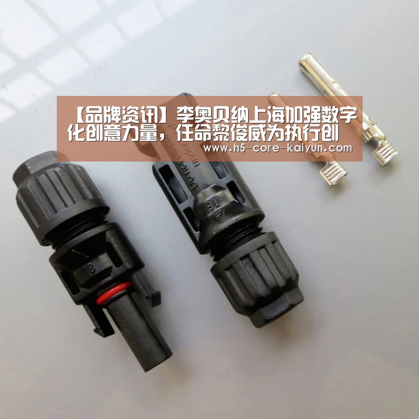 开云体育网站