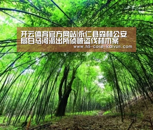 开云体育官方网站|永仁县森林公安局白马河派出所侦破盗伐林木案(图1) 开云体育官方网站