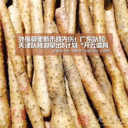 开云体育网站