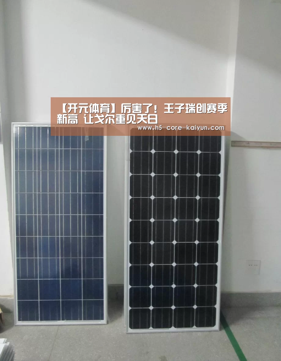 开云体育官方网站