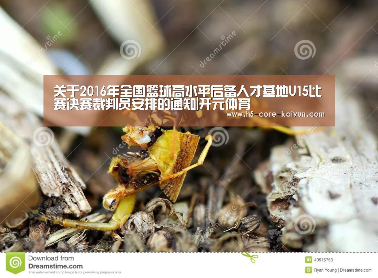 开云体育官方网站